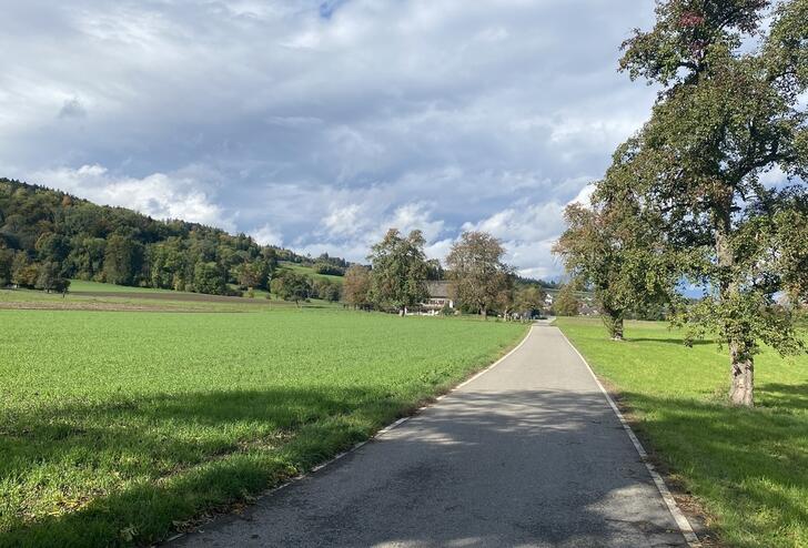 Wohnen an der Oberzelgstrasse von Villmergen Wohnen an der Oberzelgstrasse von Villmergen
