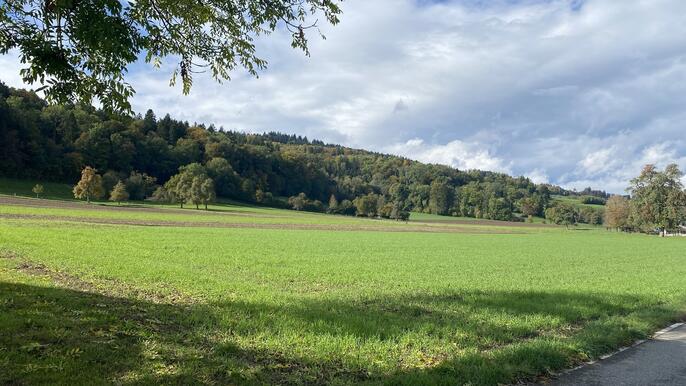 Oberzelgi Villmergen - die Natur vor der Haustüre