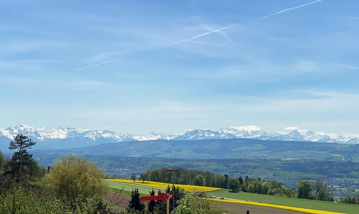 Herrliche Landschaft am Panoramaweg